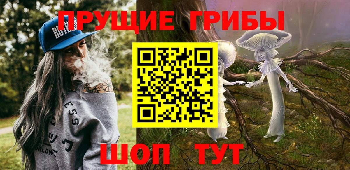 Галлюциногенные грибы Psilocybe  Псилоцибиновые грибы мухоморы  Новороссийск  Вход с VPN 
